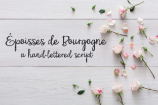 PN Époisses De Bourgogne: A Handwritten Font for Web Design